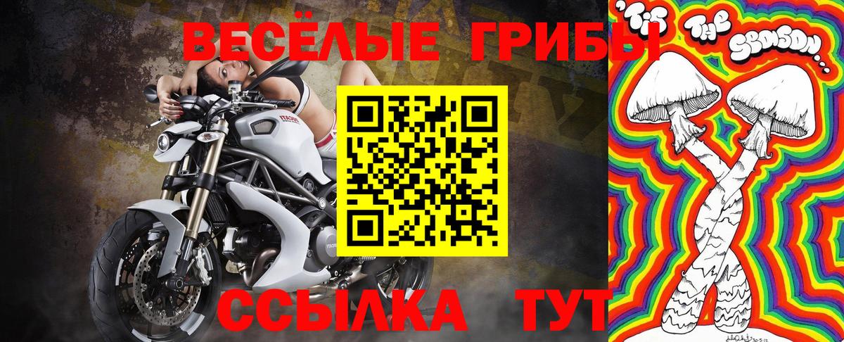 Псилоцибиновые грибы ЛСД Йошкар-Ола