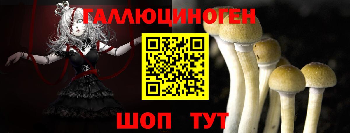 Йошкар-Ола  Псилоцибиновые грибы мухоморы  Вход с VPN 